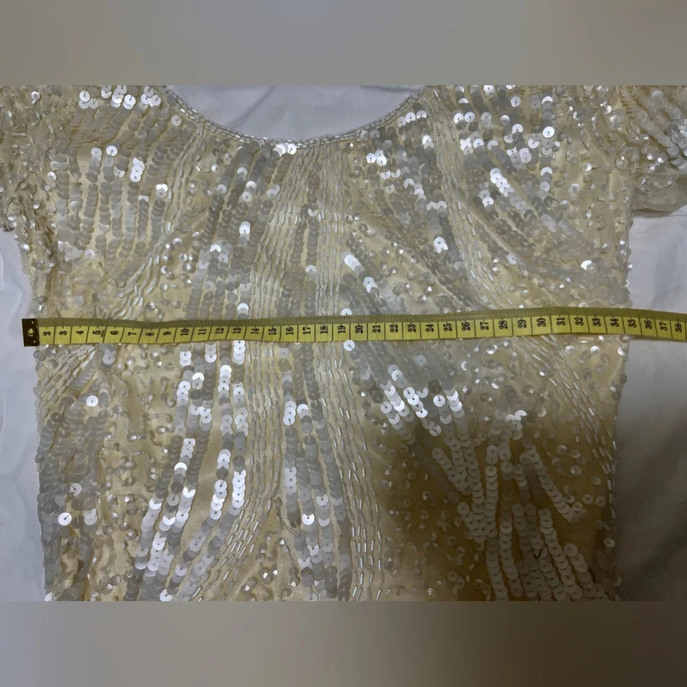 Sequin Lace Midi Dress Size 2 - Picture 12 of 15